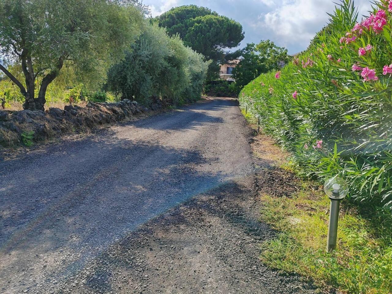 Villa Persea Santa Venerina Buitenkant foto
